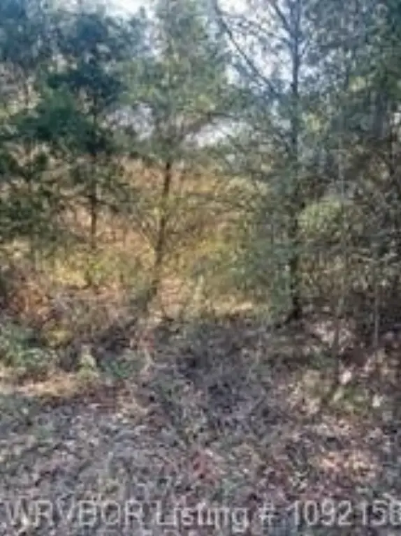Picture 2