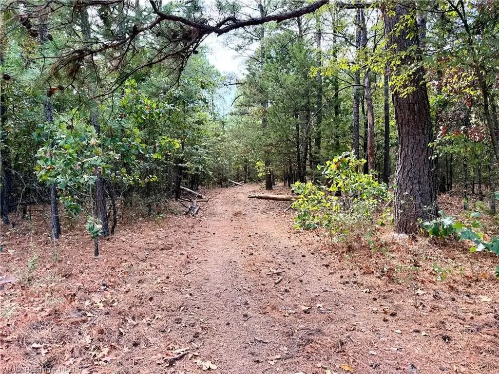Picture 22