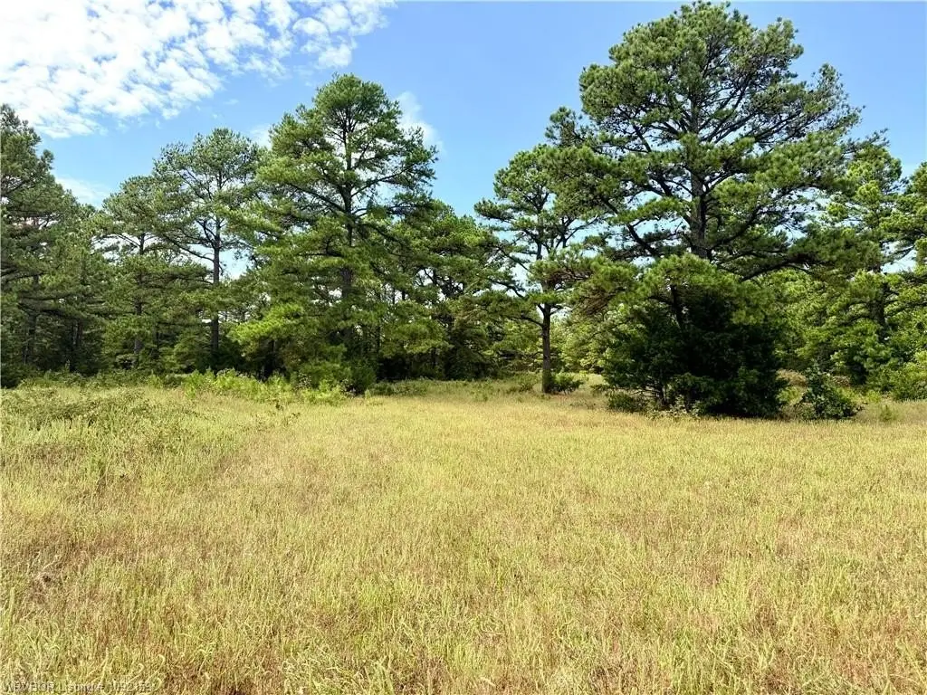 Picture 20