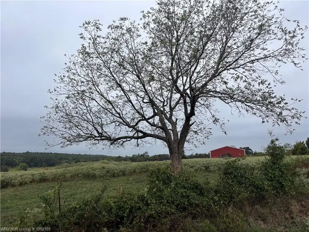 Picture 36