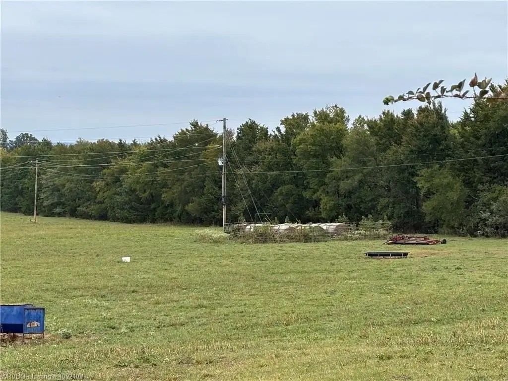 Picture 19