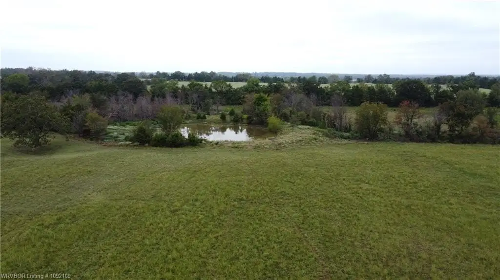 Picture 15