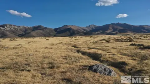 Imlay Mining District 20 Acres