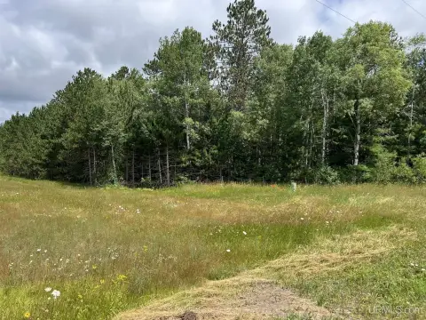Vacant Land in Crystal Falls