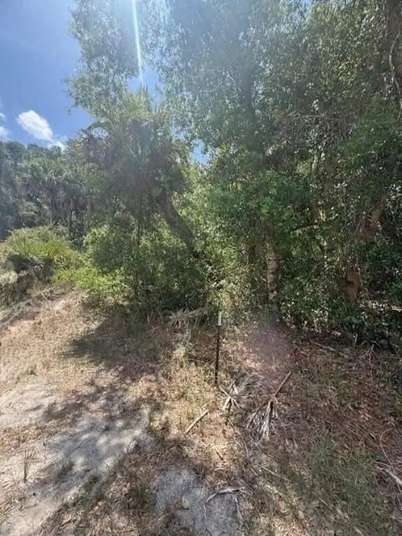 Picture 4
