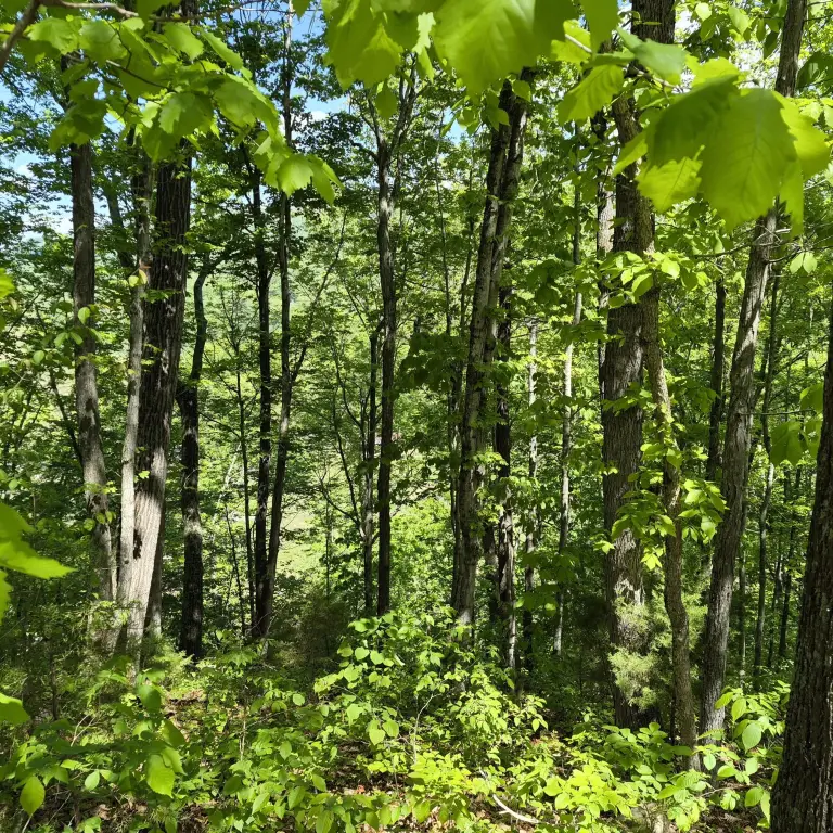 Picture 17