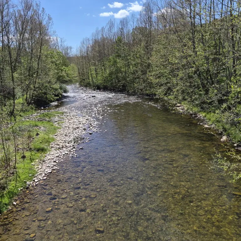 Picture 18