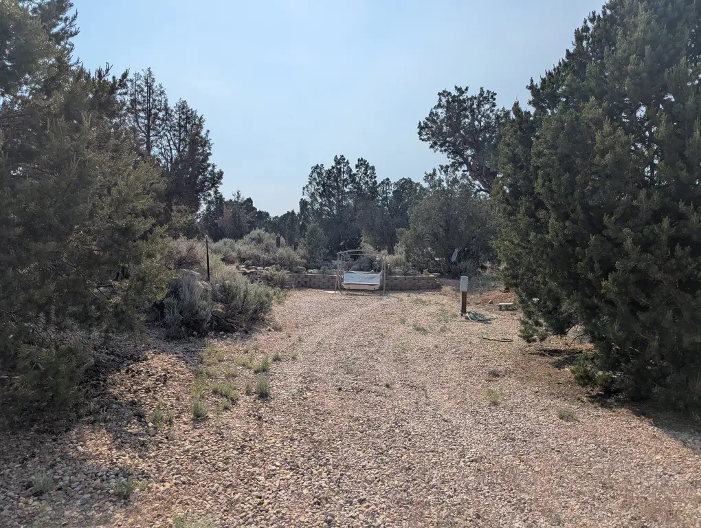 Picture 19