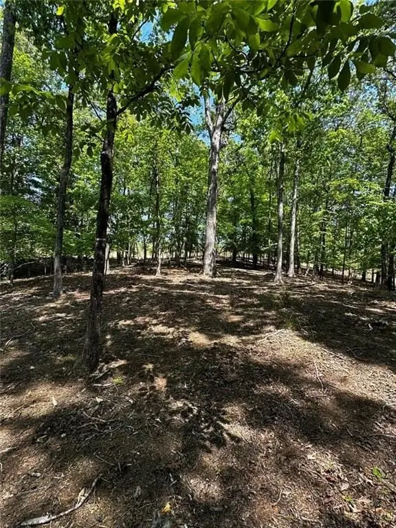 Picture 21
