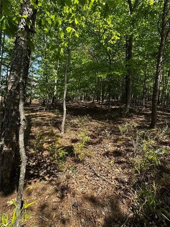 Picture 17