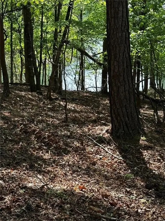 Picture 18