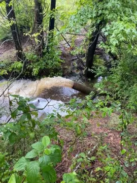 Productive Acreage with Water Features