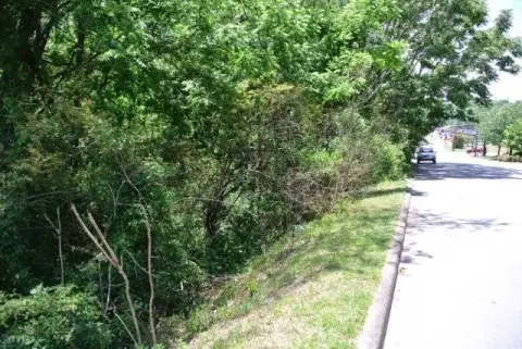 Franklin Commercial Land with Creek