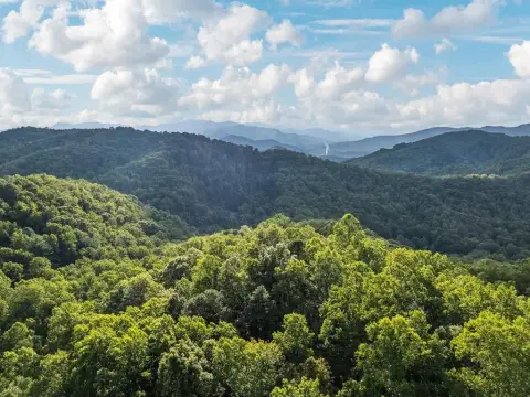 Wooded Land in Sylva, NC