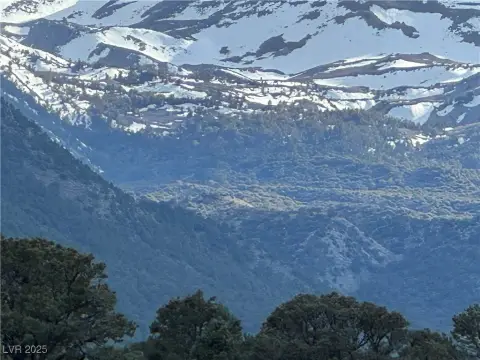 Nevada Land with Creek Access