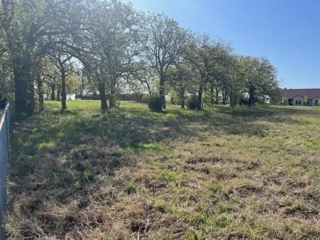 Picture 3