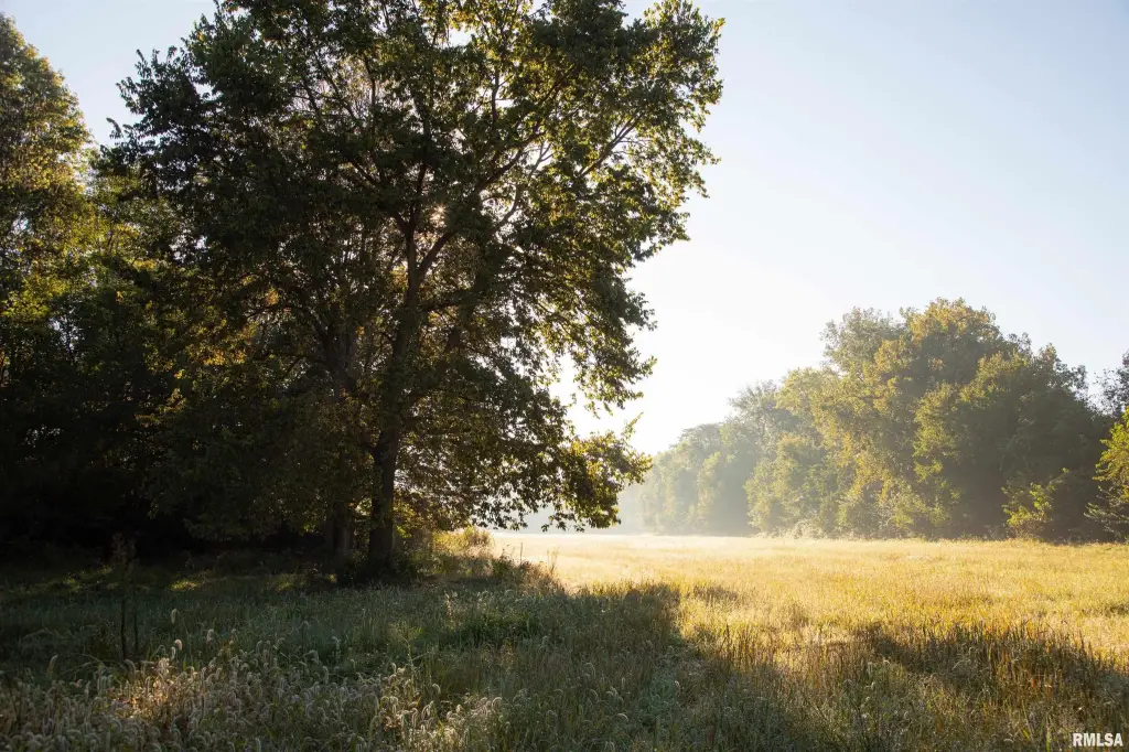 Picture 30