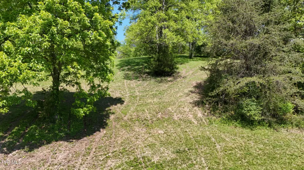 Picture 22