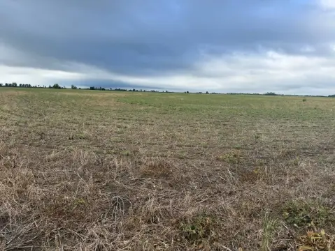 Tillable Cropland in Hayti, Missouri