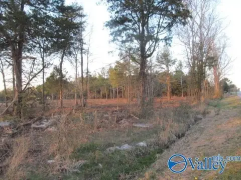 Land for Sale in Albertville