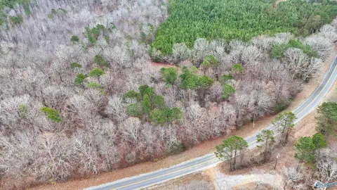 Hamilton, AL Wooded Land