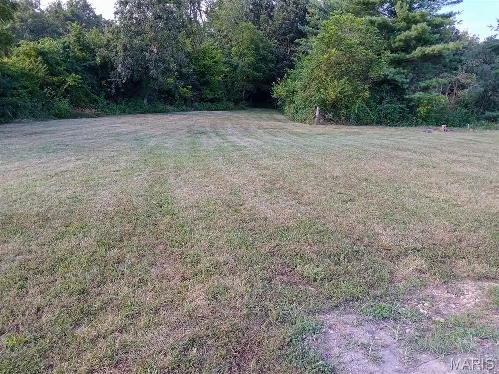 Picture 7