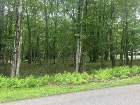 Land in Towamensing Trails