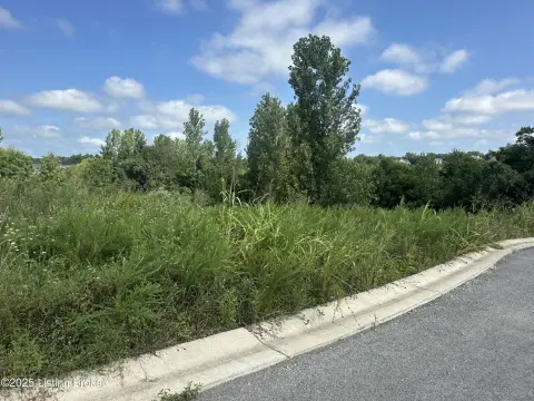 Residential Land in La Grange