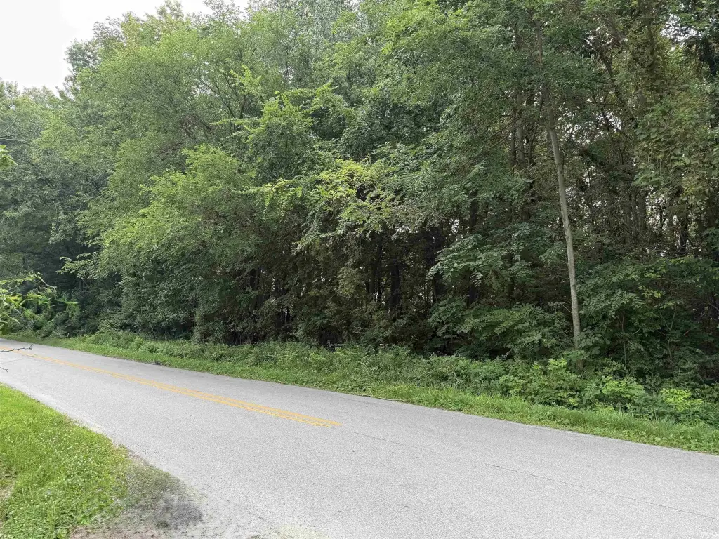 Picture 4