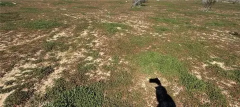 Residential Land in Daggett, CA