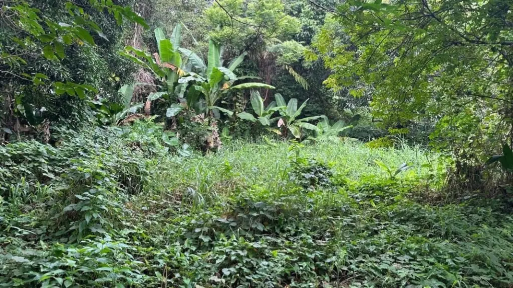 Picture 10