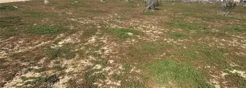 Residential Land in Victorville, CA