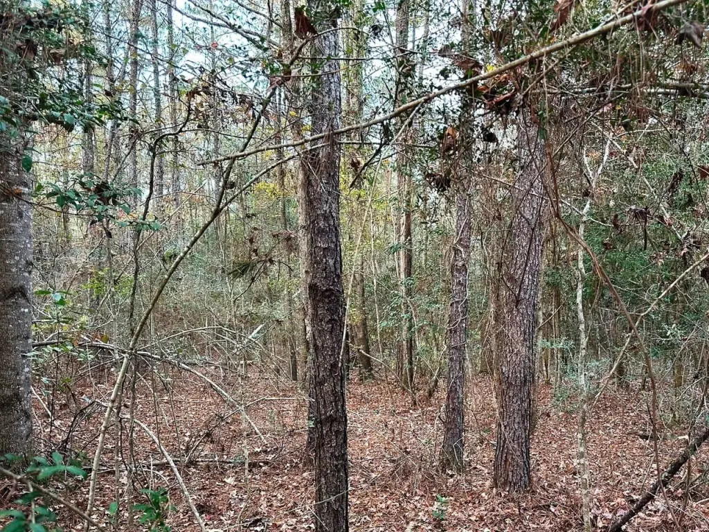 Picture 4