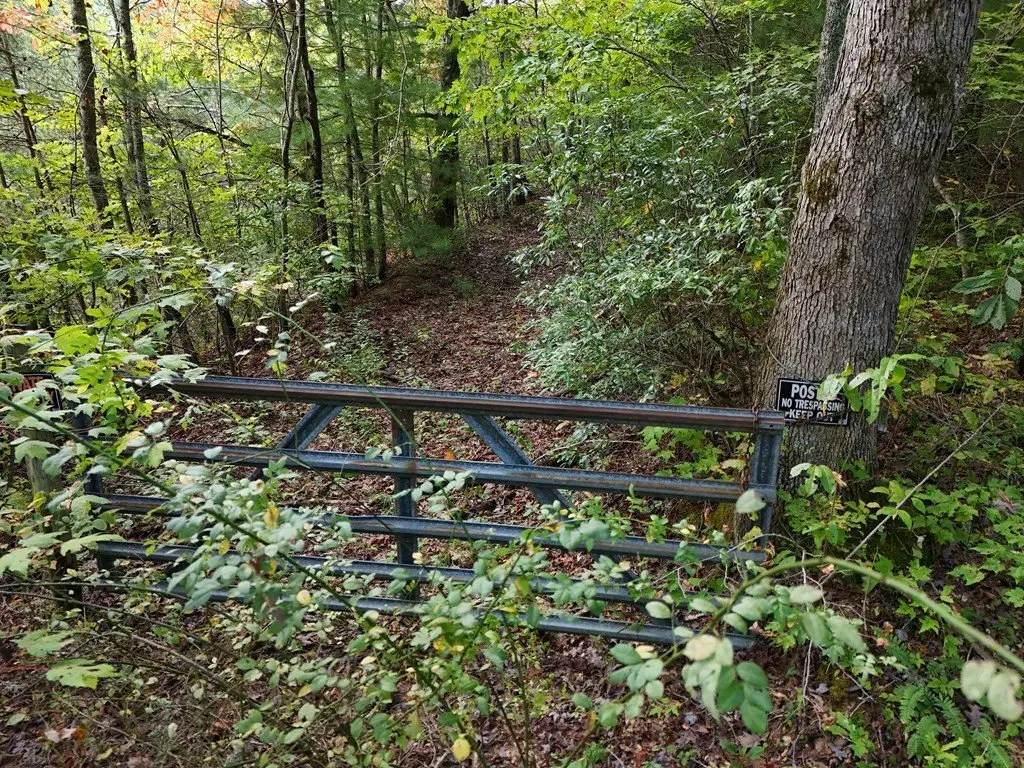 Picture 41