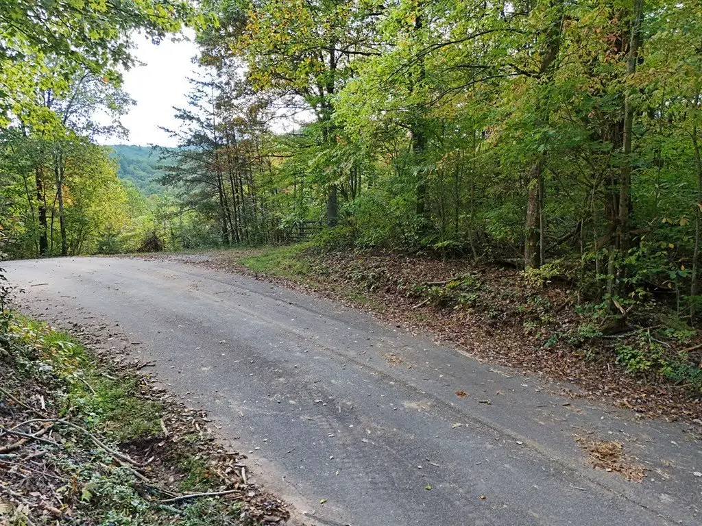 Picture 38