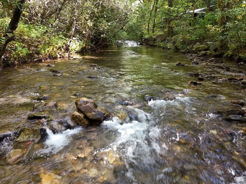 Picture 19