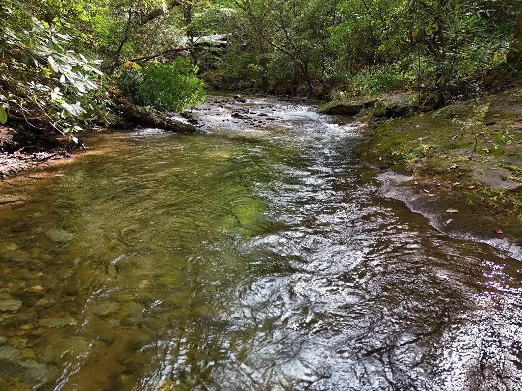 Picture 23