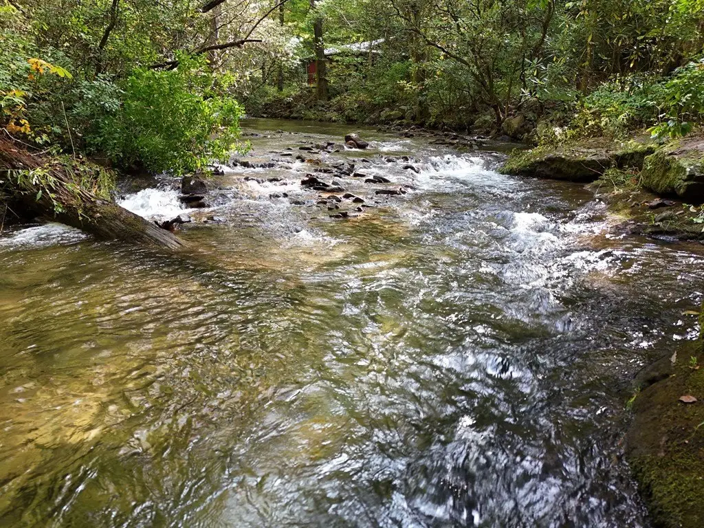 Picture 24