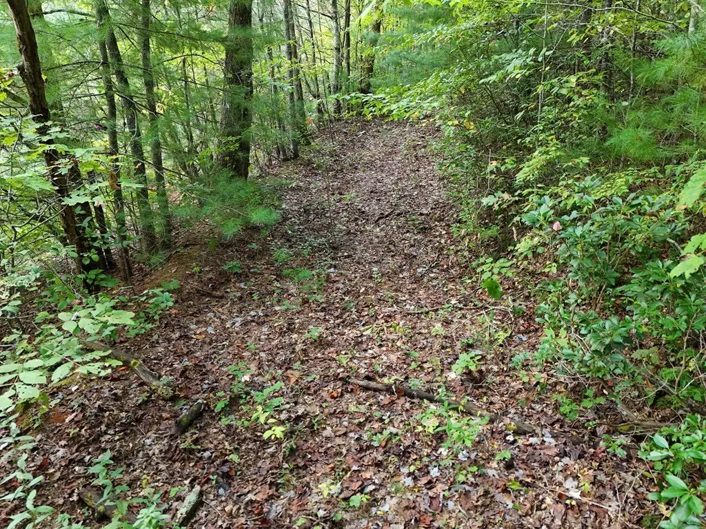 Picture 37