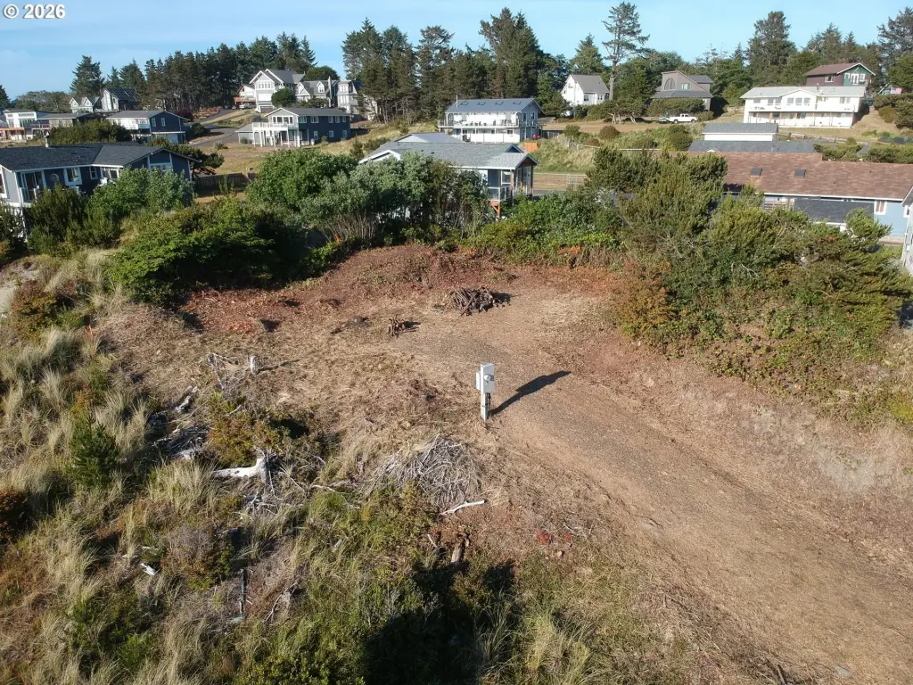 Picture 11