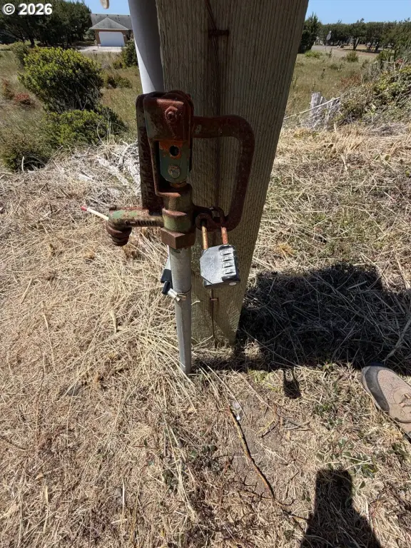 Picture 17