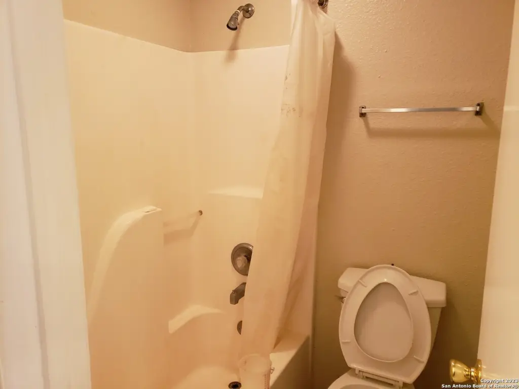 Picture 14