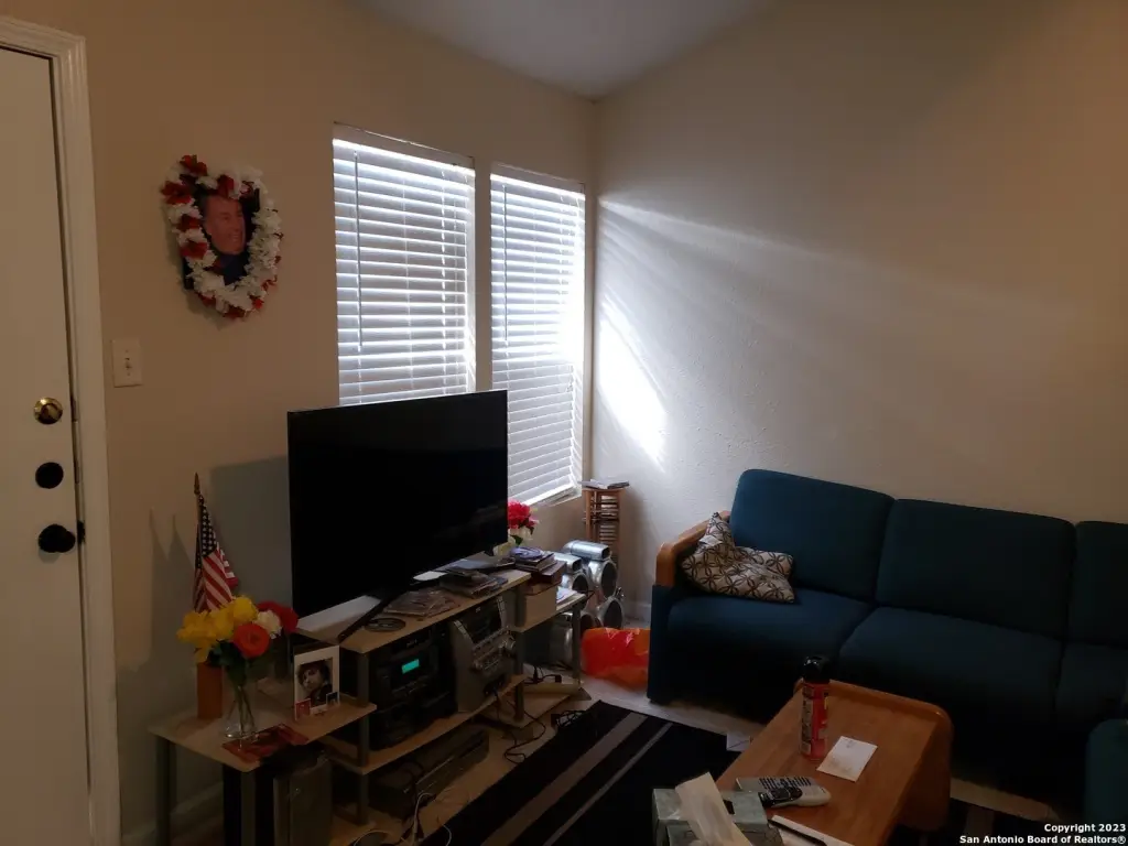 Picture 5