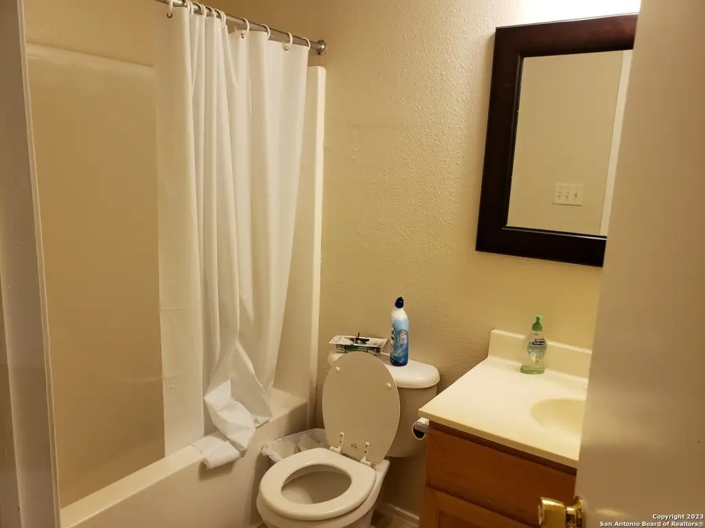 Picture 15