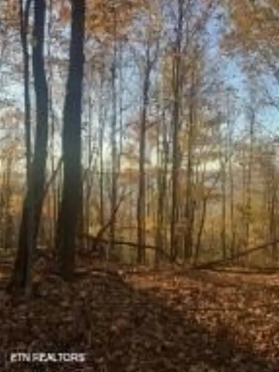 Picture 7