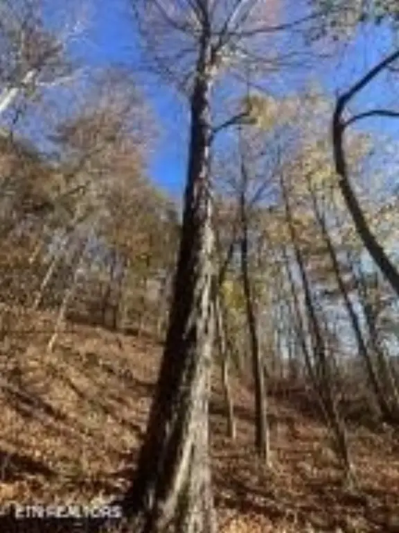 Picture 10