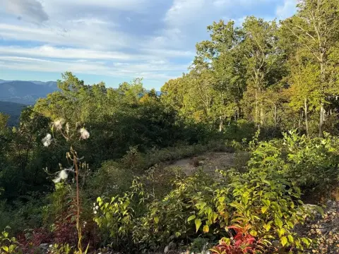 Whittier Land with Mountain Views