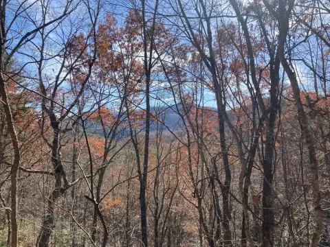 9.29 Acres at Panther Creek