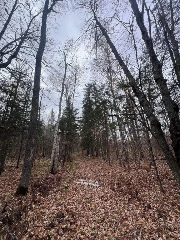 Picture 15