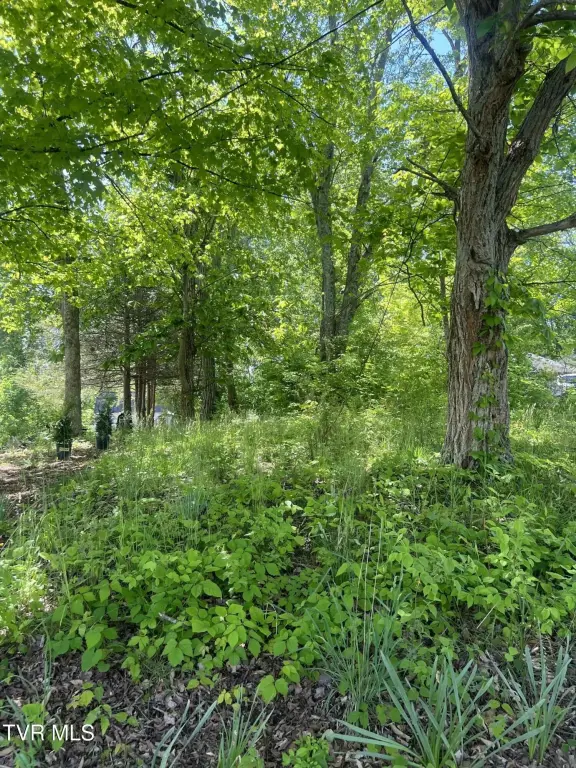 Picture 8